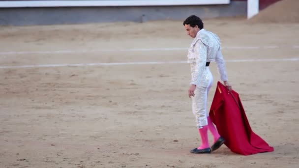 Work bullfighter. Emotions close-up. Slow motion — Stock Video