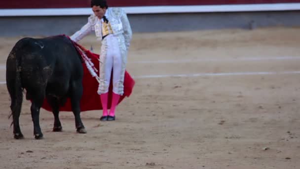 Wirtuoz torero — Wideo stockowe