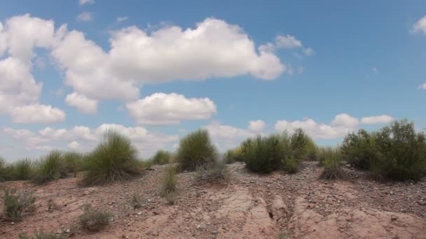 Hierba en el desierto y nubes — Vídeo de stock