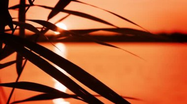 Göl. çim. gün batımı