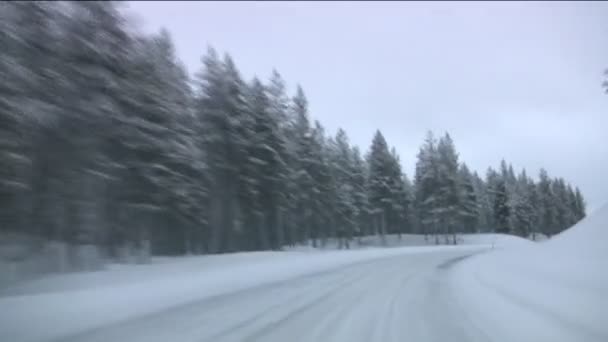 Автомобиль на зимней лесной дороге — стоковое видео