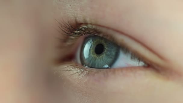 Menselijk oog gebeurt. Close-up — Stockvideo
