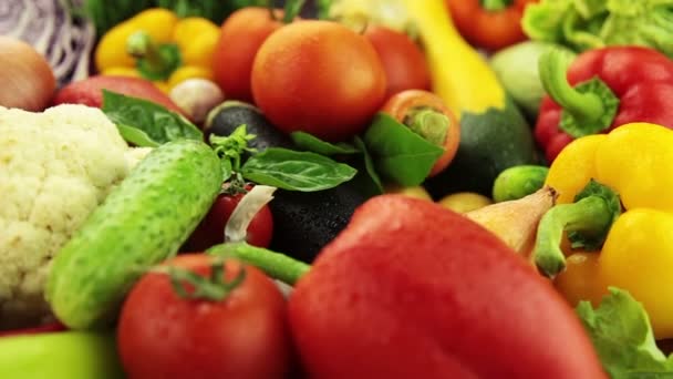 Muchas verduras y hortalizas — Vídeo de stock