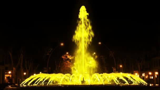 Многоцветный фонтан. Беззубый петух — стоковое видео