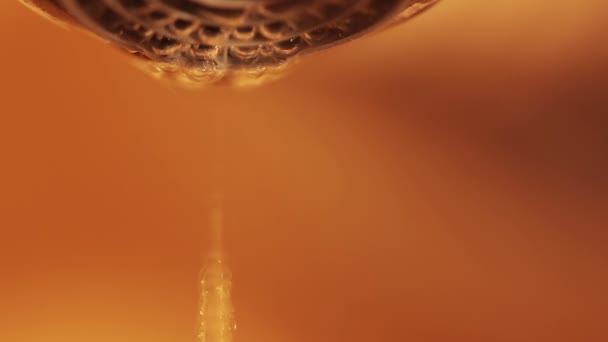 Drops from a faucet. Macro. Seamless looped — Stock Video