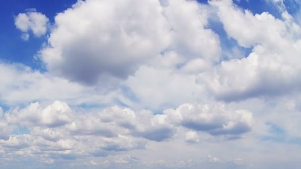 Nubes bidireccionales. Timelapse. No hay pájaros — Vídeos de Stock