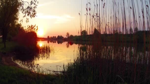 Puesta de sol sobre el río. Cronograma — Vídeos de Stock