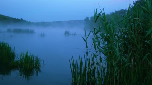 Morgennebel über dem Fluss — Stockvideo