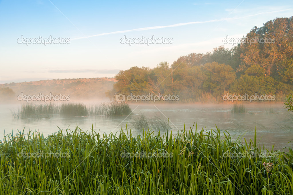 Morning Mist over the River