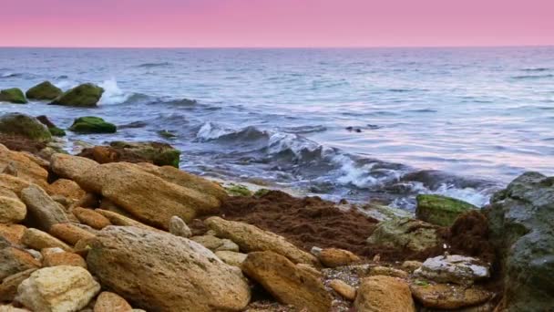 Surf en la costa rocosa. Moción lenta — Vídeo de stock