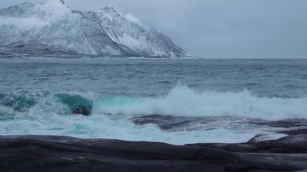 Norwegia Zimowy Brzeg Oceanu Wśród Ośnieżonych Skał Fala Surfingowa Lekkie — Wideo stockowe