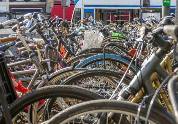 Bicycle Parking Sunny Day Street Amsterdam Lots Bicycles Tram Background — Stock Photo, Image