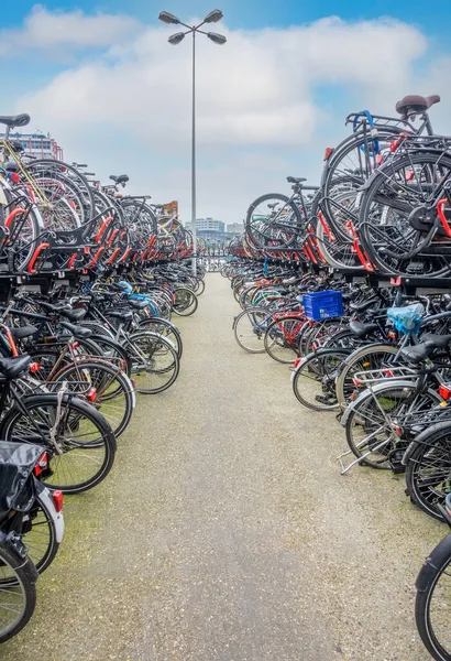 네덜란드 암스테르담에서 더플스 자전거 주차장 — 스톡 사진