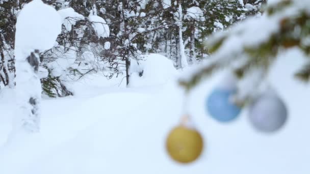 Queda Neve Leve Floresta Inverno Bolas Natal Desfocadas Tremem Vento — Vídeo de Stock