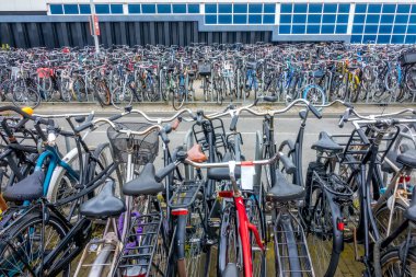 Hollanda 'da. Amsterdam 'da bir gün. Yol boyunca bisiklet parkı