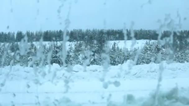 旅客列车穿过冬季的森林 通过一个冻结的窗口观看 从背景顺利过渡到前景 — 图库视频影像