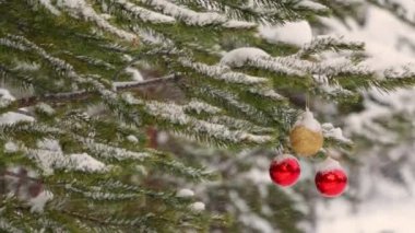 Kış ladin ormanında kar yağışı. Üç Noel topu ağaçların dallarıyla birlikte rüzgarda titriyor.