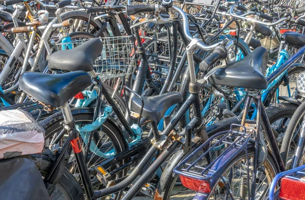 네덜란드 암스테르담의 자전거 주차장에서 새로운 자전거들 — 스톡 사진