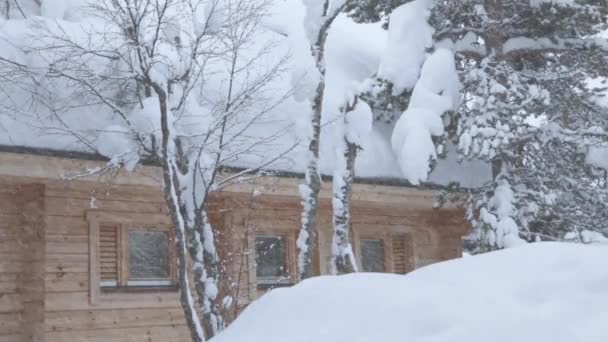 Trädstuga Vinterskogen Det Mycket Snö Marken Och Trädgrenar Kraftigt Snöfall — Stockvideo
