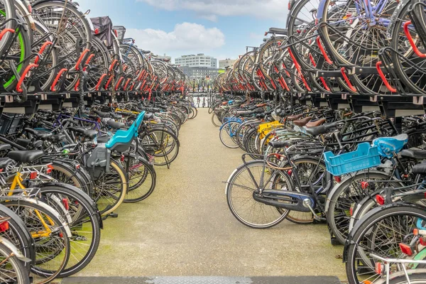 Netherlands Warm Day Amsterdam Big Two Levels Bicycle Parking Amsterdam — Φωτογραφία Αρχείου