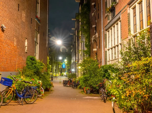 Hollanda Amsterdam Yaz Gecesi Küçük Bir Sokakta Bir Sürü Park — Stok fotoğraf