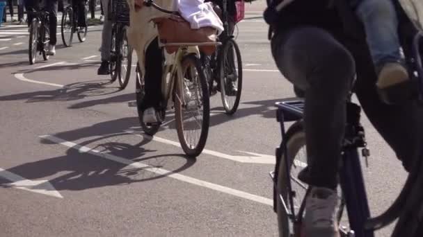 Niederlande Sonniger Tag Auf Der Straße Von Amsterdam Viele Radfahrer — Stockvideo