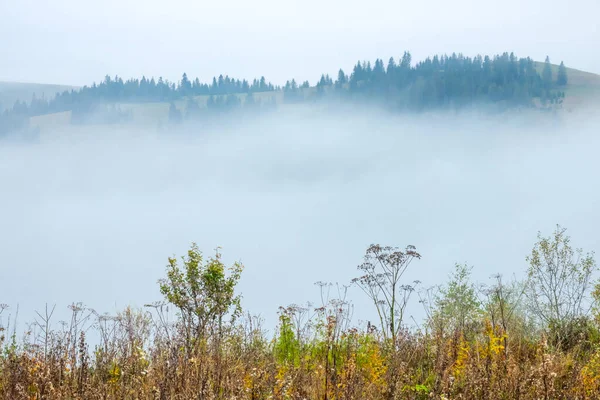 Zomer Oekraïense Karpaten Dikke Mist Verbergt Vallei Tussen Bergen — Stockfoto