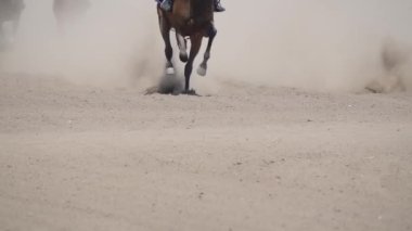 Sunny day at the hippodrome. The racehorses run and kick up a cloud of dust. Slow motion