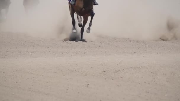 Солнечный День Ипподроме Скаковые Лошади Бегут Поднимают Облако Пыли Медленное — стоковое видео