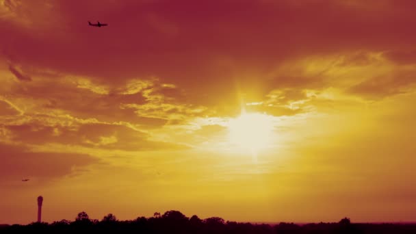 Golden Sunset Sky Park Heavy Aircraft Traffic — Stockvideo