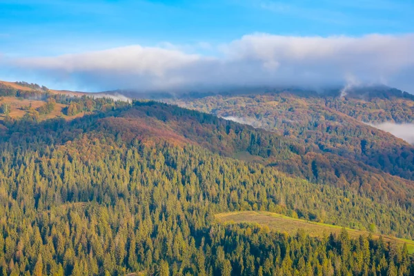 Sunny Morning Summer Ukrainian Carpathians Light Fog Wooded Hills — Stok fotoğraf