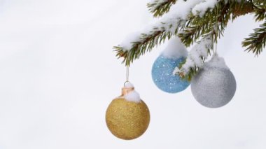 Üç Noel topu karla kaplı bir ladin dalında rüzgarda titriyor. Beyaz arka plan. Kusursuz döngü