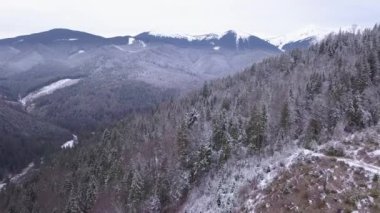 Ukrayna. Karpat ormanlı dağlarında kışın başlangıcı. Hava bulutlu. Hava görünümünden yatay uçuş