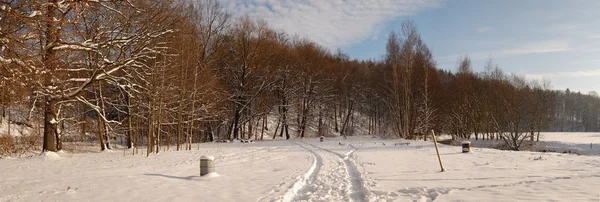 Deutsche Kış Manzarası