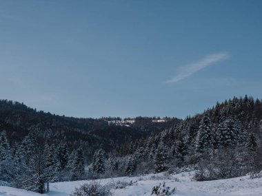 Breathtaking frosty landscape in the Transcarpathian mountains in winter