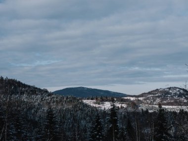 Breathtaking frosty landscape in the Transcarpathian mountains in winter