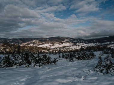 Breathtaking frosty landscape in the Transcarpathian mountains in winter