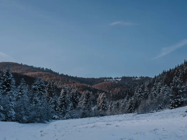 Breathtaking Frosty Landscape Transcarpathian Mountains Winter Telifsiz Stok Imajlar