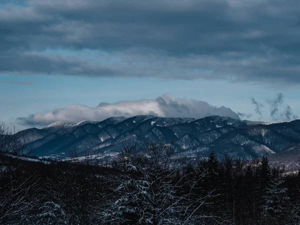 Breathtaking Frosty Landscape Transcarpathian Mountains Winter Стоковое Изображение