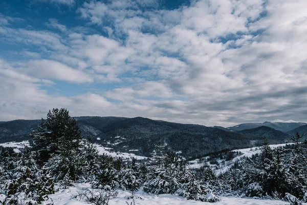 Breathtaking Frosty Landscape Transcarpathian Mountains Winter Telifsiz Stok Fotoğraflar