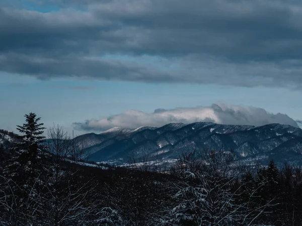 Breathtaking Frosty Landscape Transcarpathian Mountains Winter Стоковое Изображение