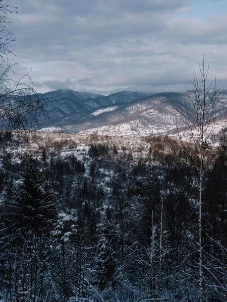 Breathtaking Frosty Landscape Transcarpathian Mountains Winter Лицензионные Стоковые Изображения