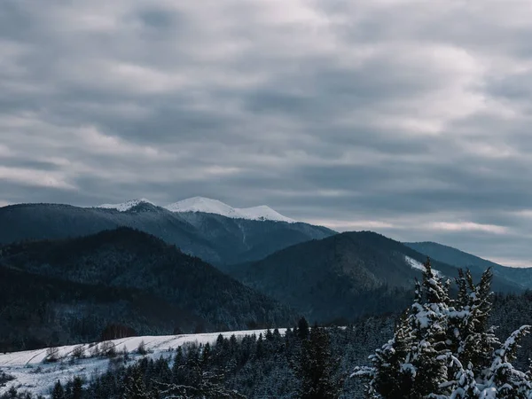 Breathtaking Frosty Landscape Transcarpathian Mountains Стоковая Картинка