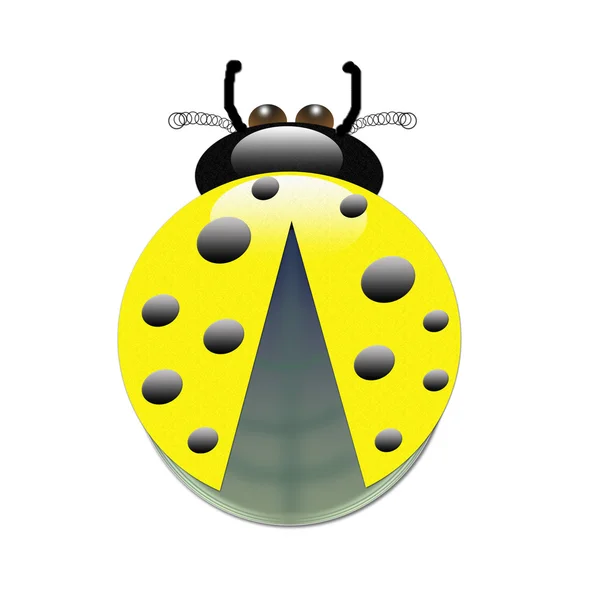 beyaz zemin üzerinde güzel sarı böceği