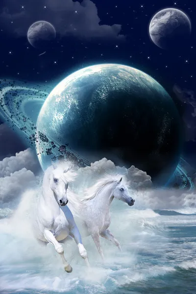 Uzay ve atları muhteşem birleşimi