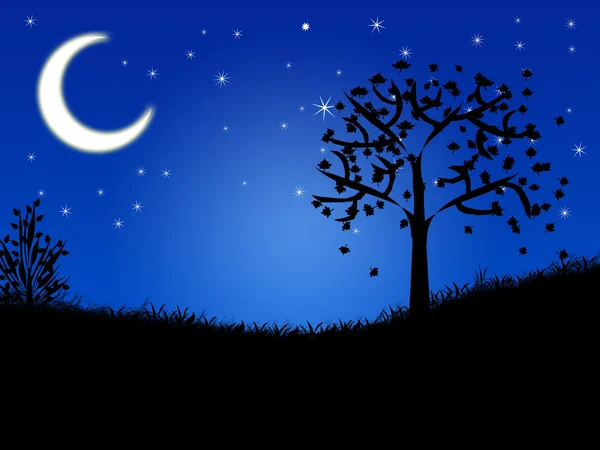 Ночной пейзаж . — стоковое фото