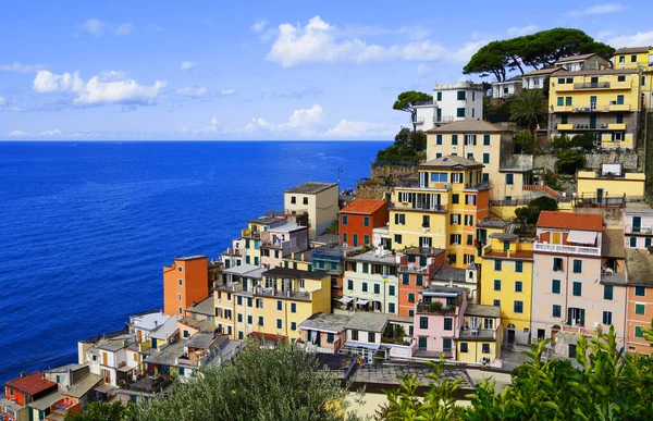 İtalya Cinque Terre 'deki Riomaggiore' un renkli binaları.