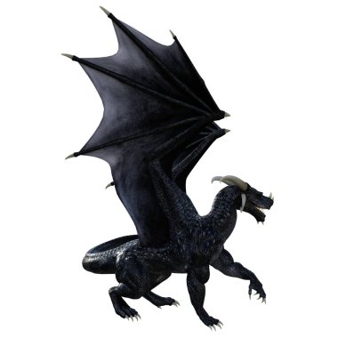 black dragon isolated on white background