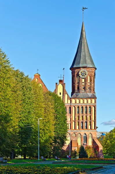 Cattedrale di Koenigsberg Tempio gotico del XIV secolo. Il simbolo di Kaliningrad (fino al 1946 Konigsberg), Russia — Foto Stock