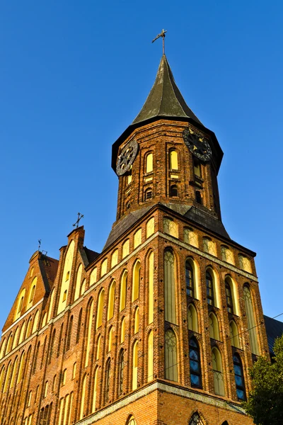 Koenigsberg Cathedral - Gothic temple of the 14th century. The symbol of Kaliningrad (until 1946 Konigsberg), Russia — Stock Photo, Image